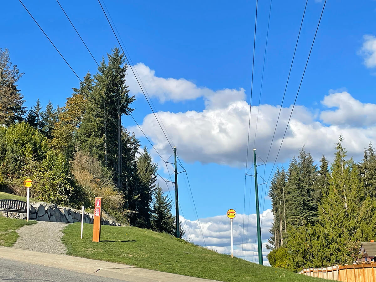 A pedestrian trail runs through a transmission line corridor where two green transmission poles stand next to each other. Coniferous trees line the corridor with a fence running along the right side and a rock wall running along the left.